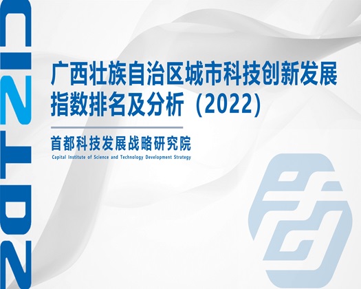 好大的大鸡巴好想要快插我小穴受不了了喷水了高潮了黄色视频【成果发布】广西壮族自治区城市科技创新发展指数排名及分析（2022）